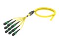 UHGRZUC8M [ARM TRUNK 144F MPOAPC16F - UC SM.900]
