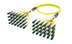 UHGMXMXCP [ARM TRUNK 288F MPO12F - MPO12F SM]