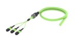 UHVMXUCCG [ARM TRUNK 36F MPO12F - UC MM OM5]