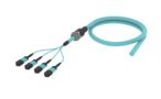 UKXMXUCCH [ARM TRUNK 48F MPO12F - UC MM OM4]