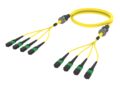 UKGRZRZ8U [ARM TRUNK 64F MPOAPC16F - MPO16F SM]