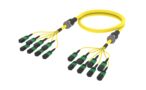 UHGMXMXCL [ARM TRUNK 96F MPO12F - MPO12F SM]