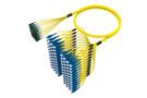 U4GQXLUTN [RFO 8F MPO - LC UNIBOOT 192F SM]