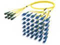 ULGMXLUCK [RFO 12F MPO - LC UNIBOOT 72F SM]