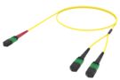 AQG2PMPHF [ARRAY 24F 1X2 MPO24F - MPO12F SM]