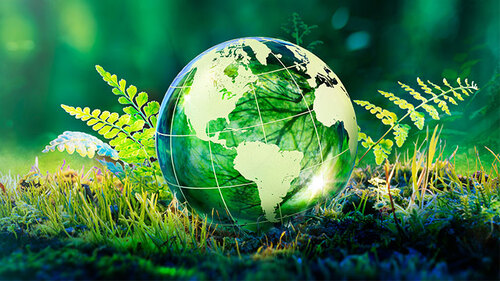 GreenBannerWeb Card Hero 500 x 281